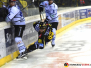 12-02-2017 Krefeld Pinguine vs. Schwenninger Wild Wigs