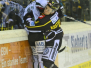 13-12-2015 Krefeld Pinguine - Augsburger Panther
