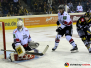 23-12-2016 Krefeld Pinguine vs. Kölner Haie