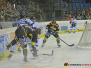 24-02-2019 Krefeld Pinguine vs. Straubing Tigers