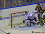 31-01-2020 Krefeld Pinguine vs. Kölner Haie