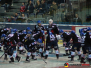 DEL - Adler Mannheim vs Fischtown Pinguine 13.01.2017