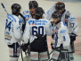 DEL - Adler Mannheim vs Iserlohn Roosters 23.12.2016