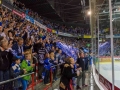 HFG_8533