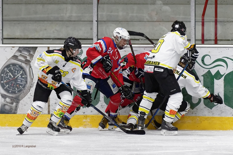 DFEL_ESCP-ECBK_019