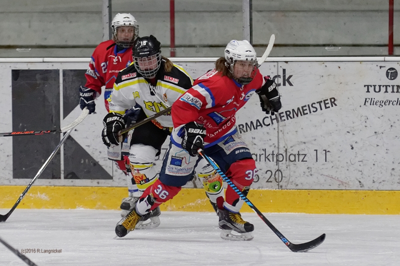 DFEL_ESCP-ECBK_029