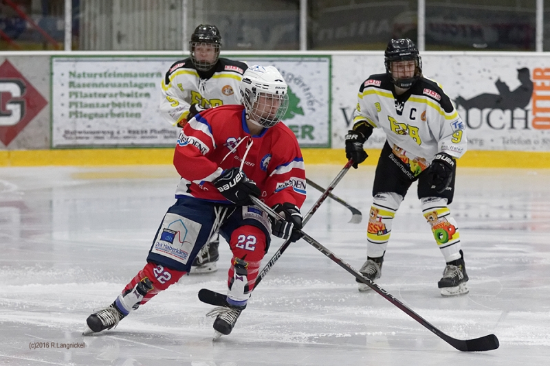 DFEL_ESCP-ECBK_033