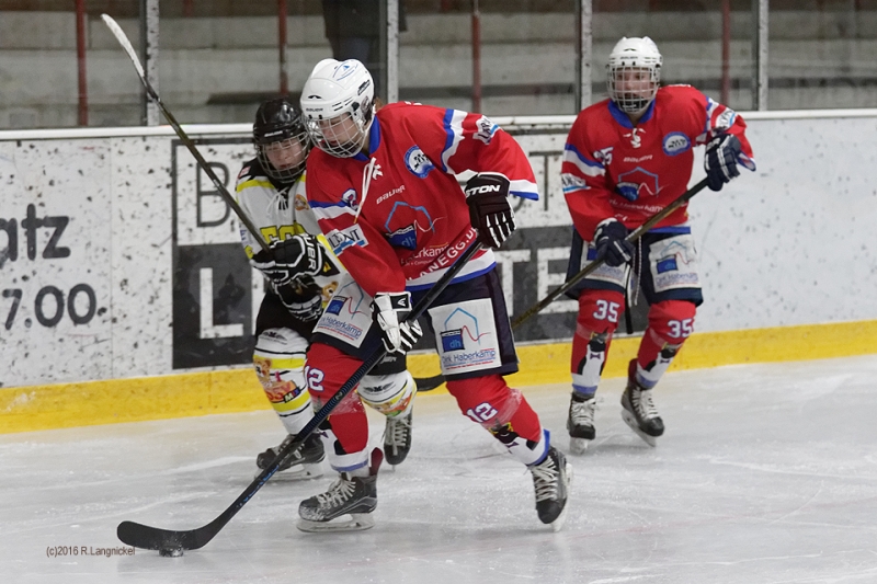 DFEL_ESCP-ECBK_036
