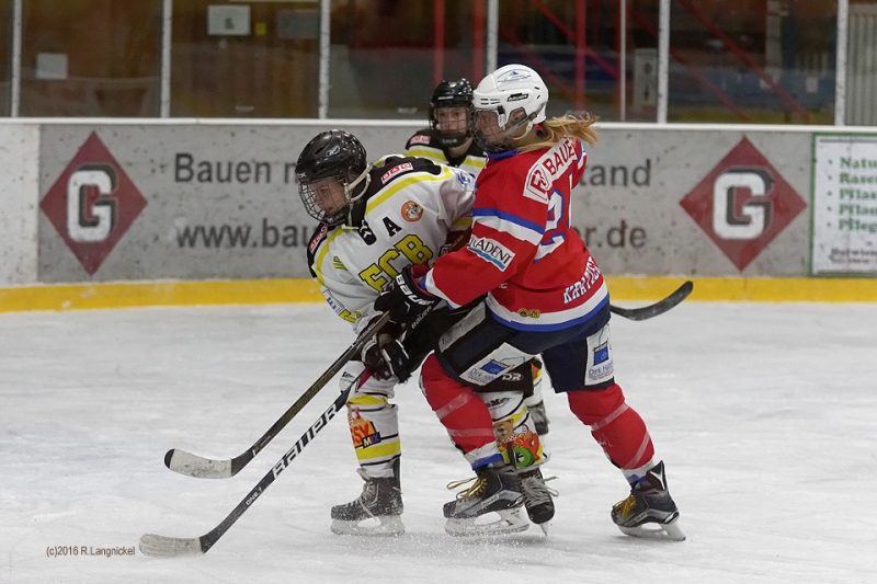 DFEL_ESCP-ECBK_049