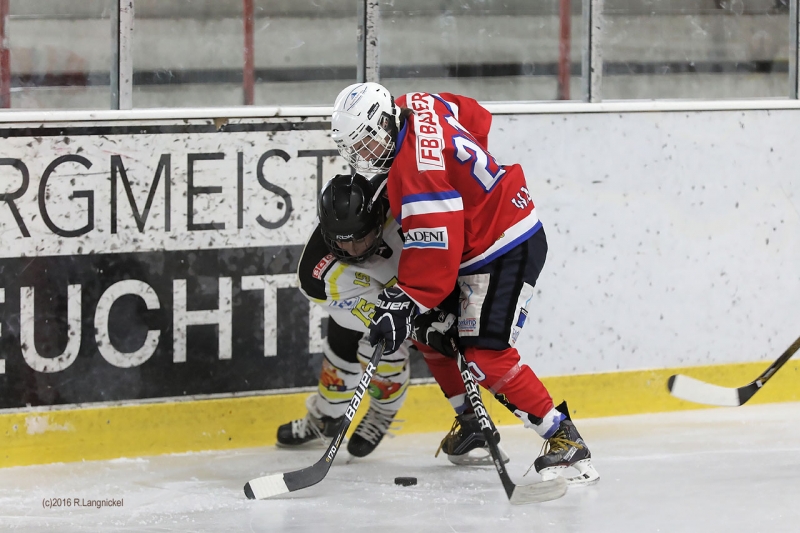 DFEL_ESCP-ECBK_II_009