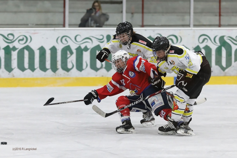 DFEL_ESCP-ECBK_II_015
