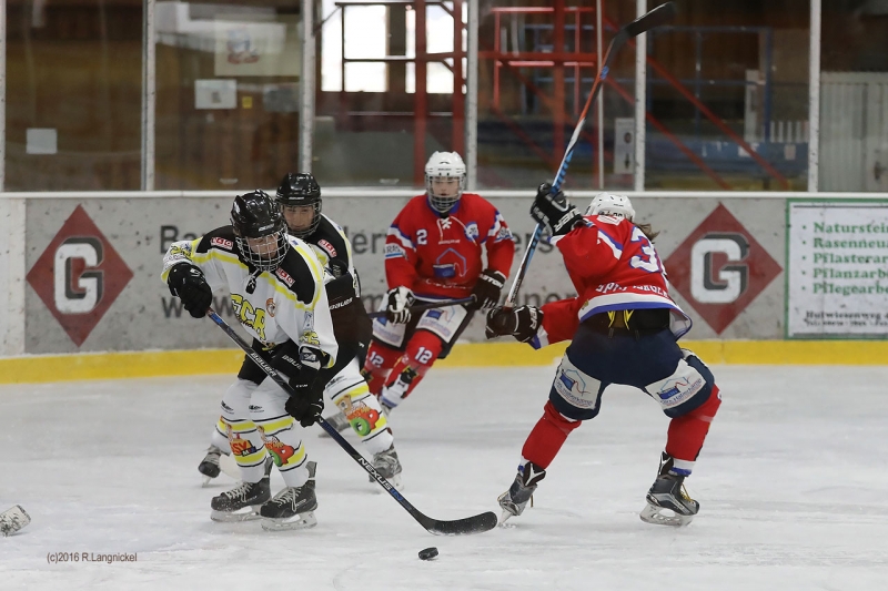 DFEL_ESCP-ECBK_II_016