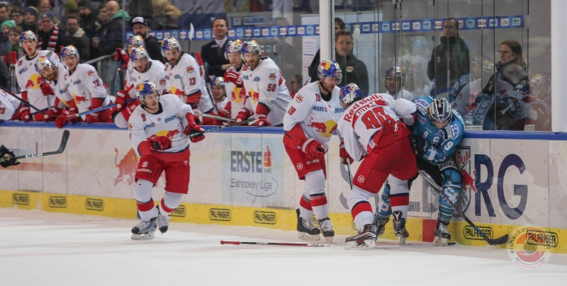 8Z9A7170