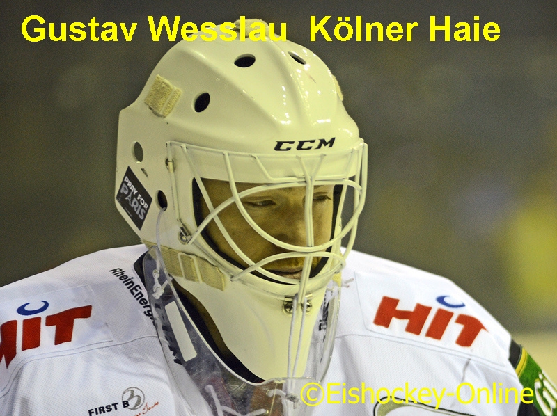 #29 Gustav Wesslau (SWE) Kölner Haie