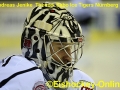 #29 Andreas Jenike (D) Thomas Sabo Ice Tigers Nürnberg