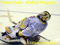 #70 Tomas Duba (CZ) Krefeld Pinguine