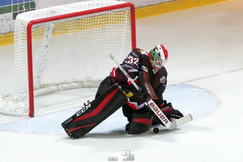 hamburg_goalieHB_01403