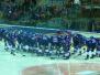 Adler Mannheim - Augsburg Panther, 07/02/2016