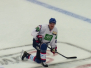 Adler Mannheim - Hamburg Freezers, 20-11-2015