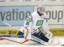 Adler Mannheim - Ingolstadt Panther 20-10-2015