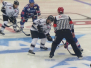 Adler Mannheim vs. Nürnberg Ice Tigers, 06.12.2015