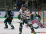 DEL - 1. Testspiel Augsburger Panther vs. EHC Linz am 25.08.2017