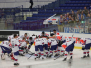 CHL - HC Vikovice Steel Ostrava - Adler Mannheim, 23-08-2015