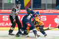 Linesman Andreas Hofer führt ein Bully aus zwischen Maximilian Kastner (EHC Red Bull Muenchen) und Tom Wandell (Djurgarden IF Stockholm) im Viertelfinal-Rückspiel der Champions Hockey League zwischen dem EHC Red Bull München und Djurgarden IF Stockholm (Schweden) am 10.12.2019.