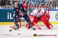 Trevor Parkes (EHC Red Bull Muenchen) und Lukas Herzog (Torwart, EC Red Bull Salzburg) im Halbfinal-Hinspiel der Champions Hockey League zwischen dem EHC Red Bull München und dem EC Red Bull Salzburg (Österreich) am 08.01.2019.