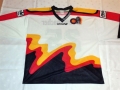 1993_Fantrikot_Uli_Hiemer_1993_v.jpg