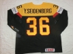 2017_wm_seidenberg