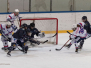 DEB Pokal Frauen Halbfinale ESC Planegg vs. ERC Ingolstadt 12-03-16