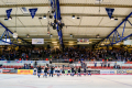 DEL, Saison 2018/2019, Iserlohn Roosters vs. Krefeld Pinguine. Jubel mit Fans