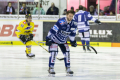 DEL, Saison 2018/2019, Iserlohn Roosters vs. Krefeld Pinguine