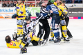 DEL, Saison 2018/2019, Iserlohn Roosters vs. Krefeld Pinguine