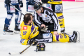 DEL, Saison 2018/2019, Iserlohn Roosters vs. Krefeld Pinguine