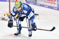 DEL, Saison 2018/2019, Iserlohn Roosters vs. Krefeld Pinguine