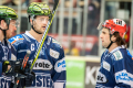 DEL, Saison 2018/2019, Iserlohn Roosters vs. Krefeld Pinguine