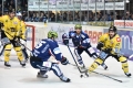 Iserlohn Roosters vs. Krefeld Pinguine KEV