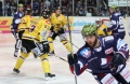 Iserlohn Roosters vs. Krefeld Pinguine KEV