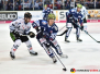 DEL 17/18 - Iserlohn Roosters vs. Straubing Tigers 15.10.2017 