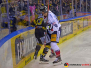 DEl 29-11-2019 Krefeld Pinguine vs. Eisbären Berlin