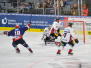 DEL - Adler Mannheim vs Eisbären Berlin