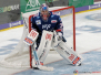 DEL - Adler Mannheim vs Krefeld Pinguine