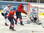 DEL - Adler Mannheim vs Schwenninger Wild Wings