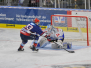 DEL - Adler Mannheim vs Schwenninger Wild Wings