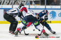 Linesman Jakub Klima führt ein Bully aus zwischen Maxim Lapierre (Eisbaeren Berlin) und Trevor Parkes (EHC Red Bull Muenchen) in der Hauptrundenbegegnung der Deutschen Eishockey Liga zwischen dem EHC Red Bull München und den Eisbären Berlin am 22.09.2019.