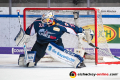 Danny aus den Birken (Torwart, EHC Red Bull Muenchen) in der Hauptrundenbegegnung der Deutschen Eishockey Liga zwischen dem EHC Red Bull München und den Fischtown Pinguins Bremerhaven am 03.03.2019.