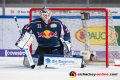 Danny aus den Birken (Torwart, EHC Red Bull Muenchen) in der Hauptrundenbegegnung der Deutschen Eishockey Liga zwischen dem EHC Red Bull München und der Düsseldorfer EG am 03.02.2019.