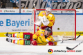 Patrick Koeppchen (Duesseldorfer EG) und Mathias Niederberger (Torwart, Duesseldorfer EG) kurz vor dem Gegentreffer zum 3.1 in der Hauptrundenbegegnung der Deutschen Eishockey Liga zwischen dem EHC Red Bull München und der Düsseldorfer EG am 03.02.2019.